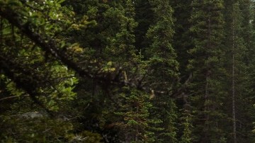 Jeep Rubicon 20th Anniversary edition 2023