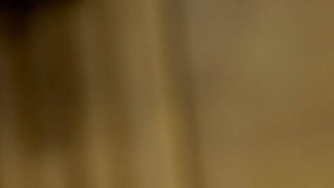 Jeff Merkley, senador por Oregón