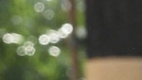 Jeremy Allen y Rosalía en Los Ángeles.