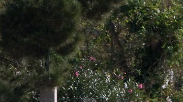 Violencia en México