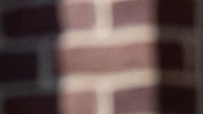 Joe Biden, presidente de la nación