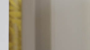 Joe Biden y Kamala Harris