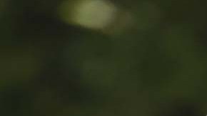 Ken Langone, cofundador Home Depot