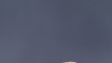 La banda ha perdurado como una de las más representativas en la historia del rock.