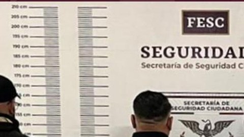 Decomiso de fentanilo