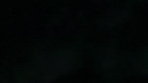 luna castor signos más afectados