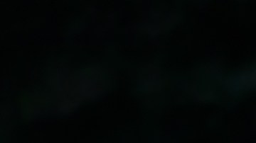 luna castor signos más afectados