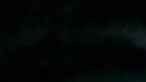 luna castor signos más afectados