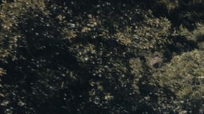 Impulsa migración en el Corredor Seco centroamericano