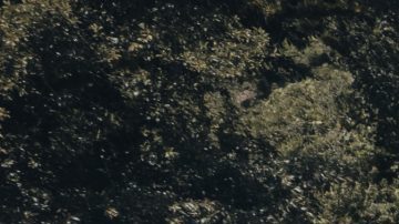 Impulsa migración en el Corredor Seco centroamericano