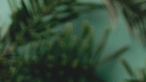 Navegando las compras navideñas: estrategias clave para minoristas en un mundo diverso