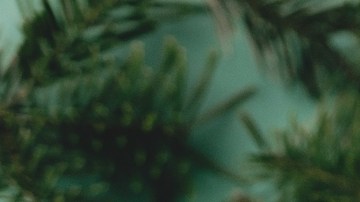 Navegando las compras navideñas: estrategias clave para minoristas en un mundo diverso