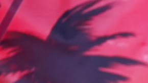 Vivek Ramaswamy, aspirante a la candidatura republicana