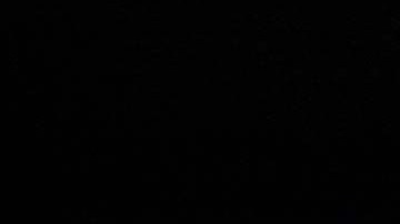 La ausencia de Donald Trump ha perjudicado a la audiencia de los debates republicanos