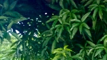 Reunión vecinal de los pobladores de El Zapotal