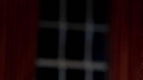 Sarah Huckabee Sanders, gobernadora de Arkansas