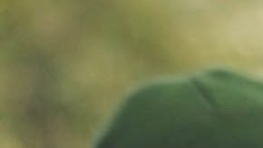 Sebastian Lletget y Becky G en Los Angeles.