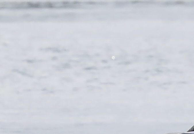 Shakira, Milan y Sasha en Miami.