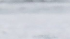 Shakira, Milan y Sasha en Miami.