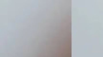 Shaneka Ann McKinzie