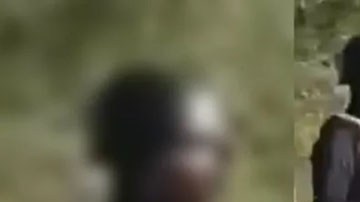 Grupo armado Los Ninis