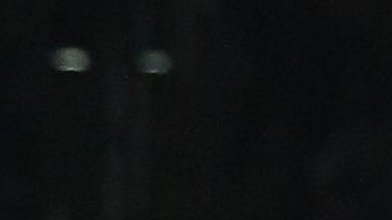 Tekashi 6ix9ine durante un concierto en Nueva York.