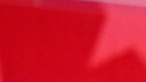 Tim Scott, senador por Carolina del Sur