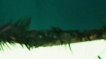 Toni Costa y Adamari López en Telemundo cuando aún eran pareja.