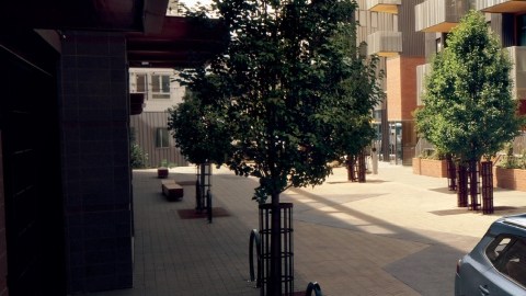 Toyota Crown Signia 2025