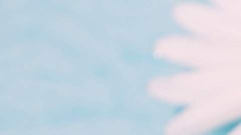 agua de flores receta