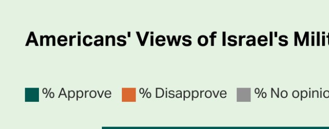Opiniones de estadounidenses sobre la acción militar de Israel en Gaza.
