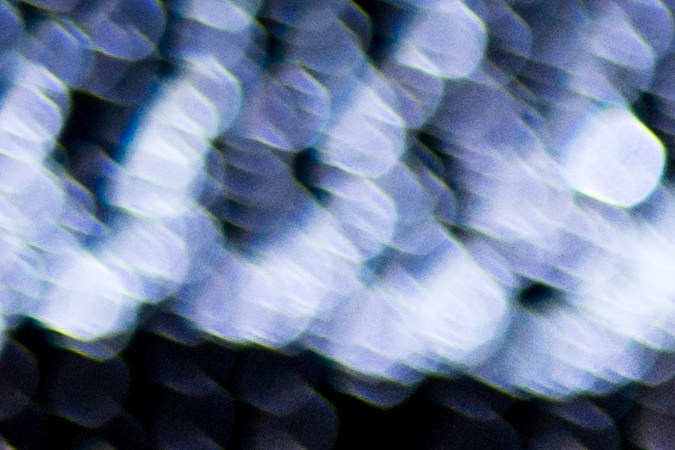 Horóscopo amor diciembre