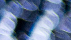 Horóscopo amor diciembre