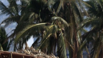 México declara zona de desastre en 47 municipios del estado de Guerrero por el paso del huracán Otis