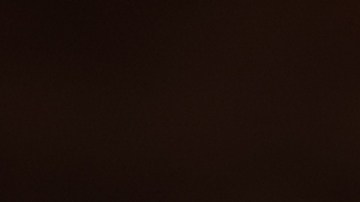 Excederte con los alimentos ultraprocesados puede llevarte a padecer cáncer estomacal: estudio