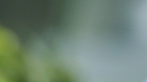 El cannabis y la salud cardiovascular: qué dice un nuevo estudio