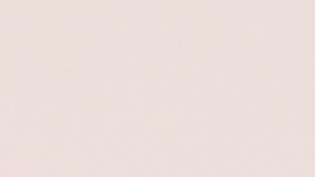 Charlie Brown y Snoopy