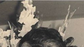 Asesinato en Maryville