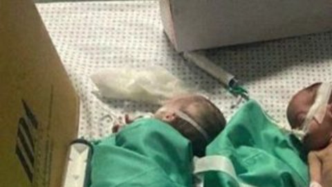 Aumenta la preocupación por los bebés nacidos en el hospital Al Shifa