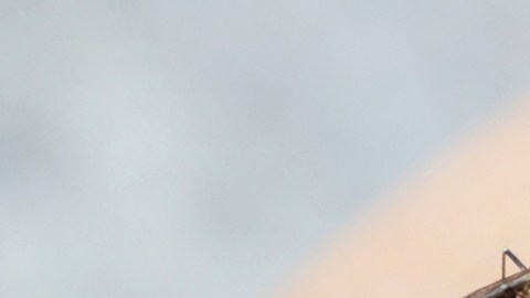 Más de 1,500 muertes por dengue se han registrado en Bangladesh