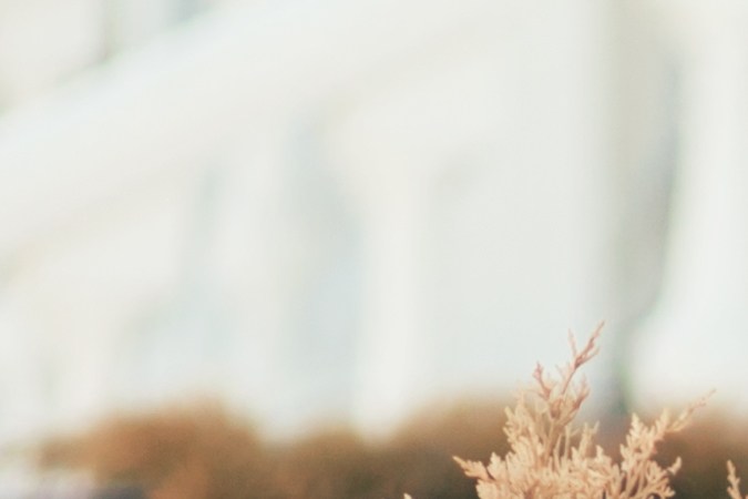 Diciembre próspero zodiaco