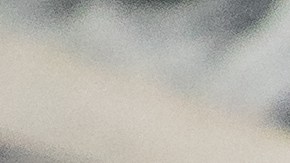 Ingresos garantizados