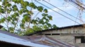 La expedición recorrió el río Madre de Dios y se adentró en el Parque Nacional del Manu, en Perú.