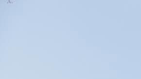 Tustin (United States), 07/11/2023.- A historic World War II-era wooden hangar burns in Tustin, California, USA, 07 November 2023. The structure caught fire on 07 November morning and the Orange County Fire Authority stated that the only way to fight the fire was to let the structure to collapse. The hanger was one of two built in 1942 for the US Navy, and were among the the largest wooden structures ever built. EFE/EPA/CAROLINE BREHMAN