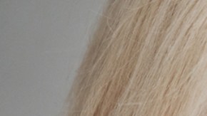 Es posible ralentizar el envejecimiento según una nueva investigación: descubre cómo