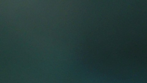 Signos chinos más prósperos del 2024