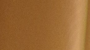 signos más independientes