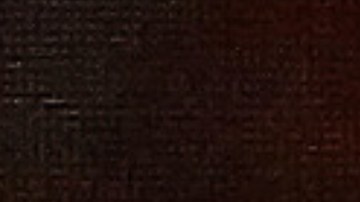 Luis Miguel en un concierto en Argentina. Michelle Salas en una alfombra roja.