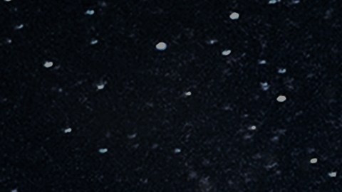 luna llena noviembre horóscopo