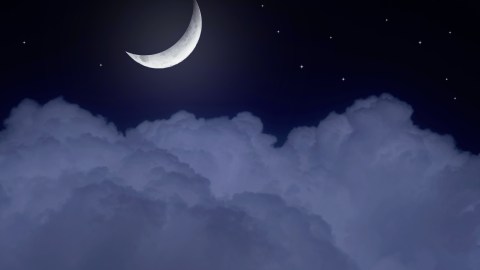 Luna nueva noviembre zodiaco